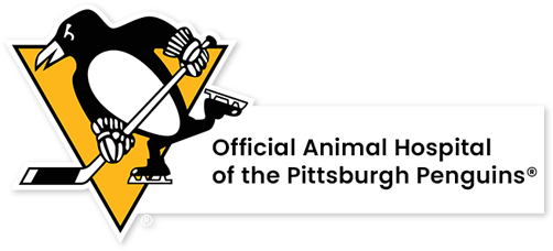 penguins-official-ah