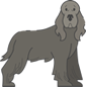 Gray Dog